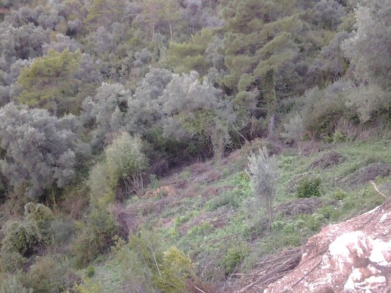 Земля в Будве, Черногория, 300 м² - фото 2