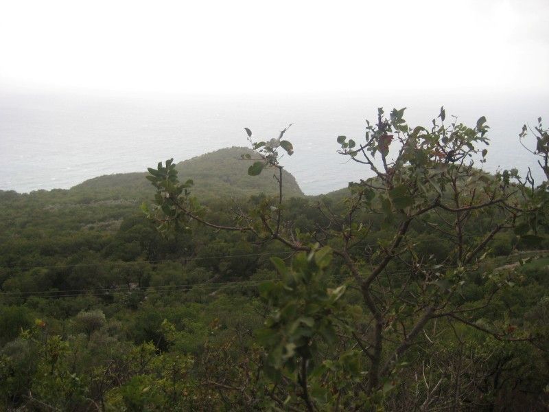 Земля в Будве, Черногория, 7 700 м² - фото 2