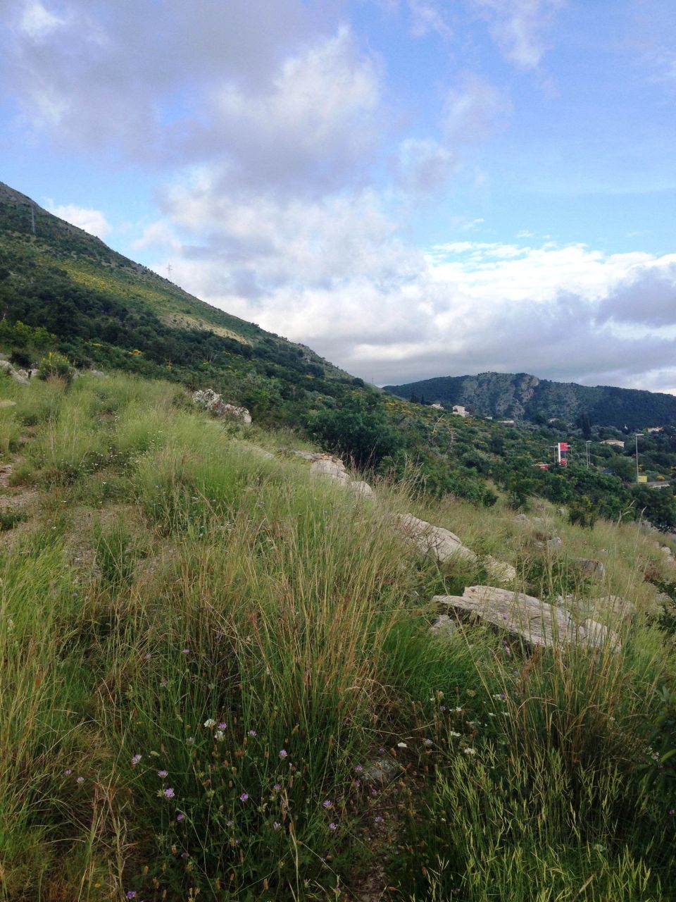 Земля в Режевичах, Черногория, 3 600 м² - фото 2