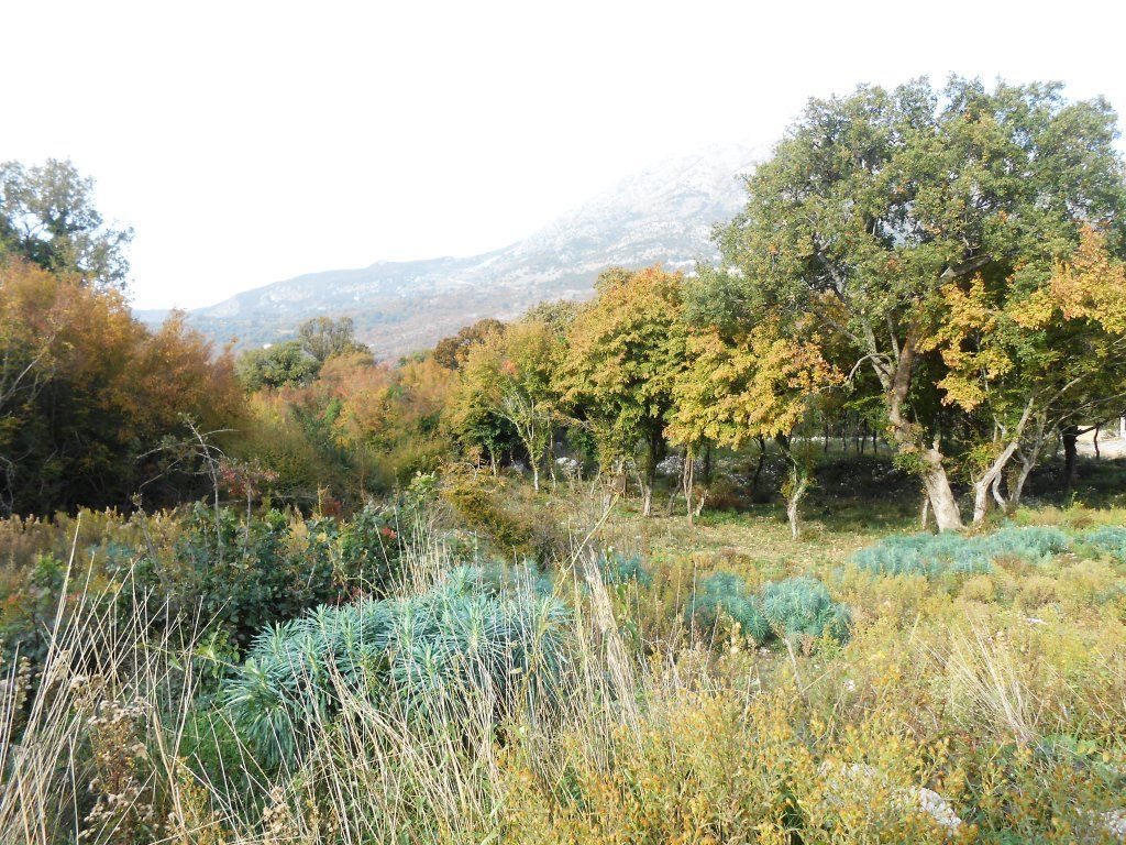 Земля в Добра Воде, Черногория, 7 411 м² - фото 2