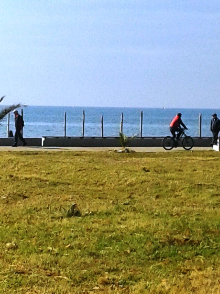 Коммерческая недвижимость в Баре, Черногория - фото 2