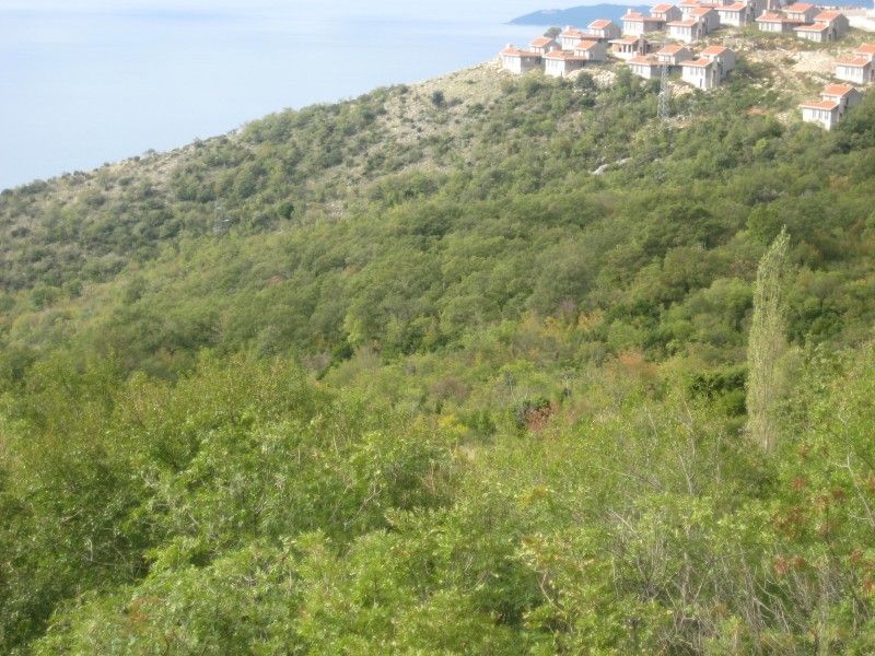 Земля в Будве, Черногория, 3 890 м² - фото 3