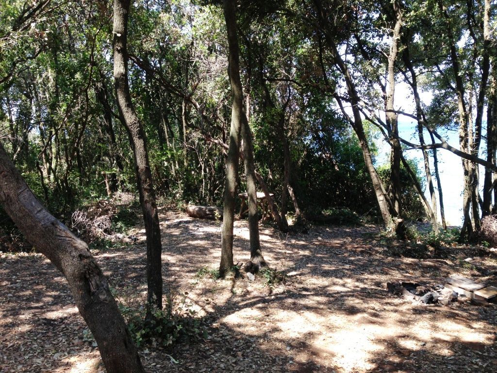 Земля в Добра Воде, Черногория, 3 000 м² - фото 3