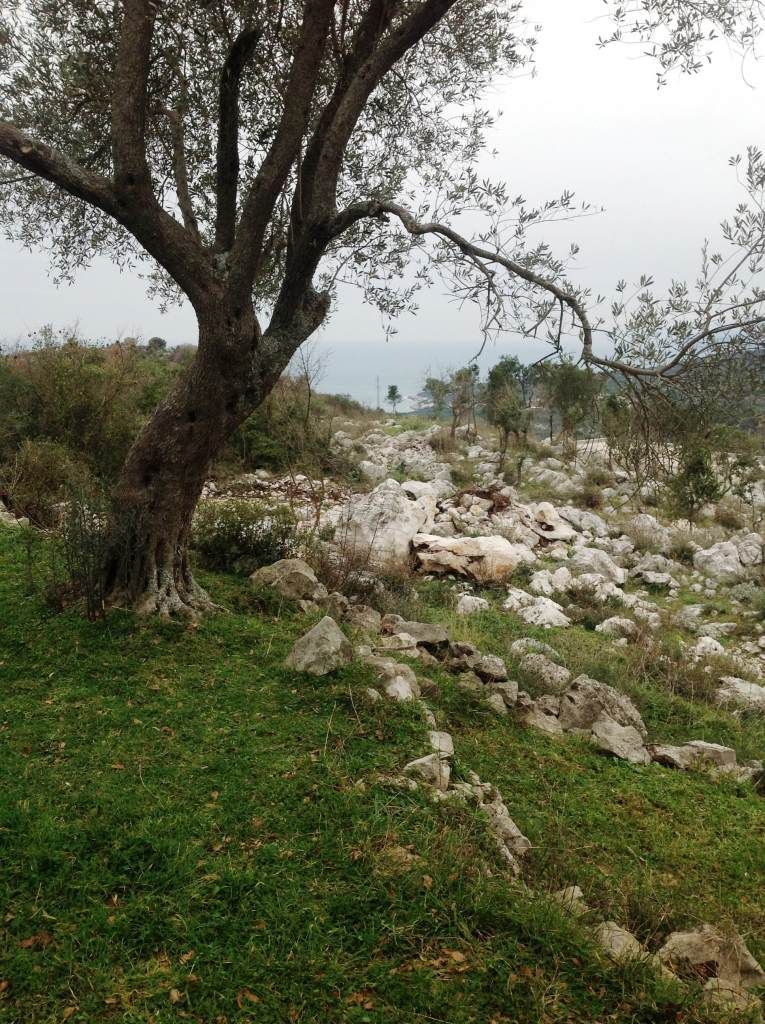 Земля в Утехе, Черногория, 2 400 м² - фото 3