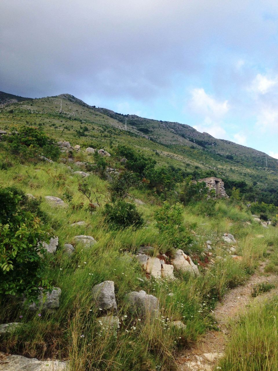 Земля в Режевичах, Черногория, 3 600 м² - фото 3