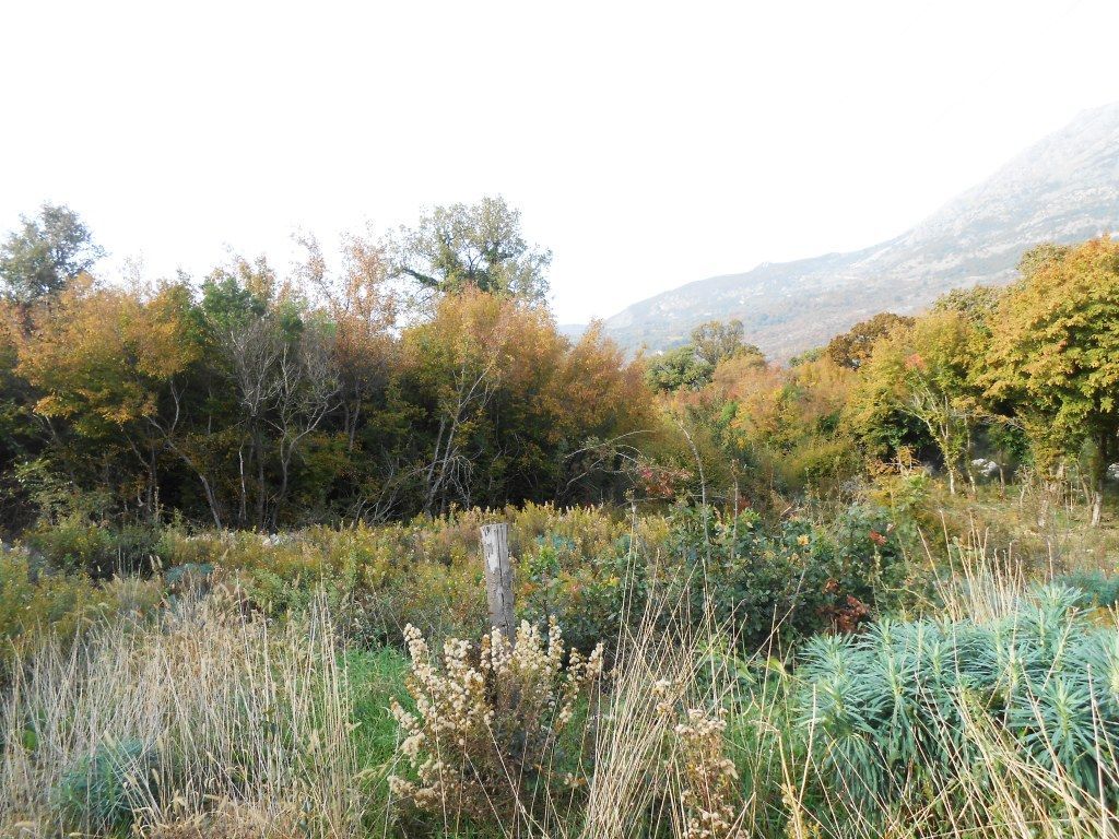 Земля в Добра Воде, Черногория, 7 411 м² - фото 3