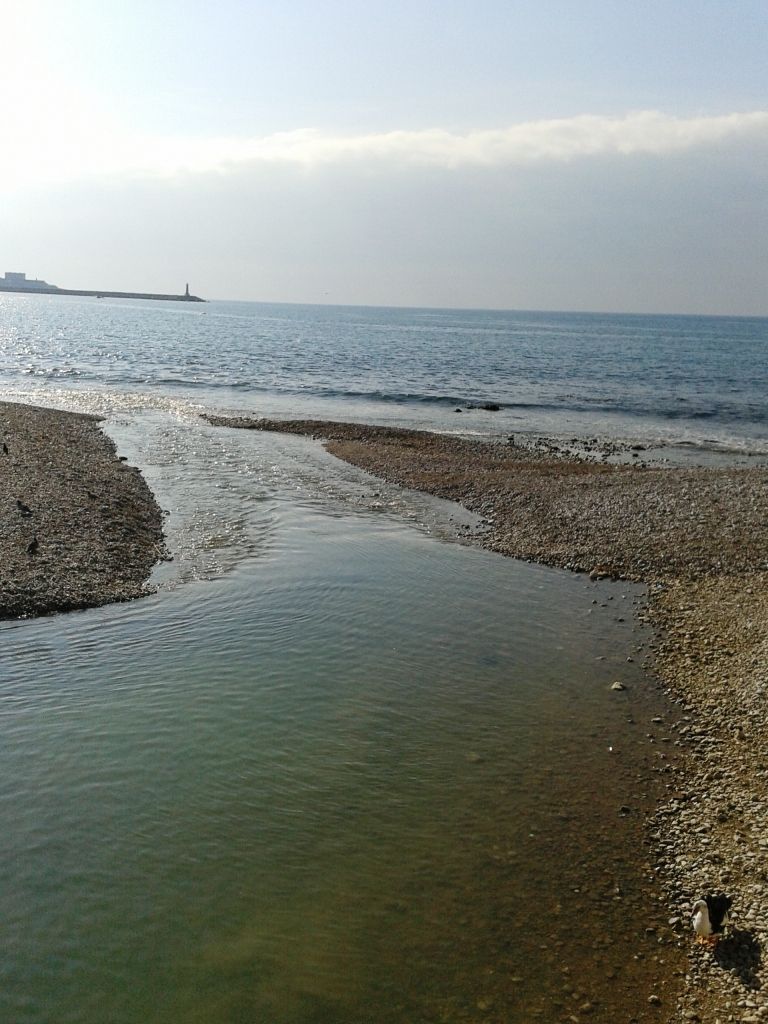 Коммерческая недвижимость в Баре, Черногория - фото 3