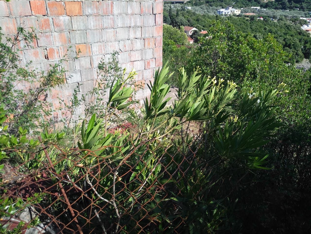 Земля в Утехе, Черногория, 210 м² - фото 3