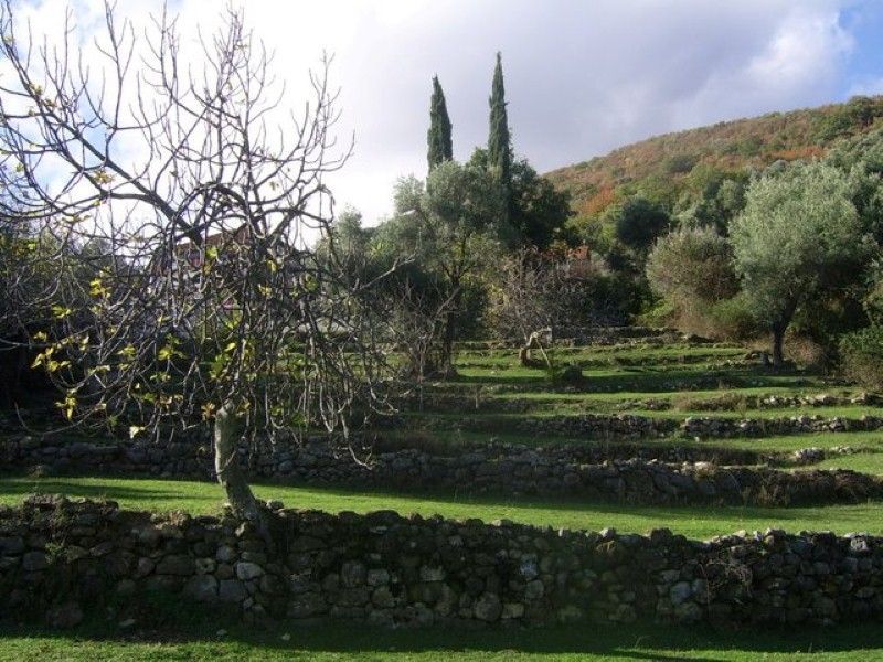 Земля в Биеле, Черногория, 2 000 м² - фото 4