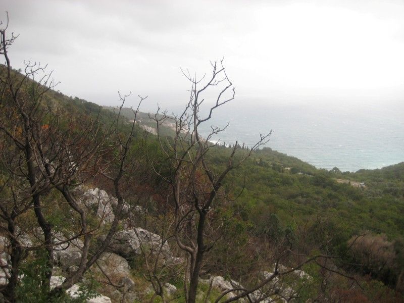 Земля в Будве, Черногория, 7 700 м² - фото 4