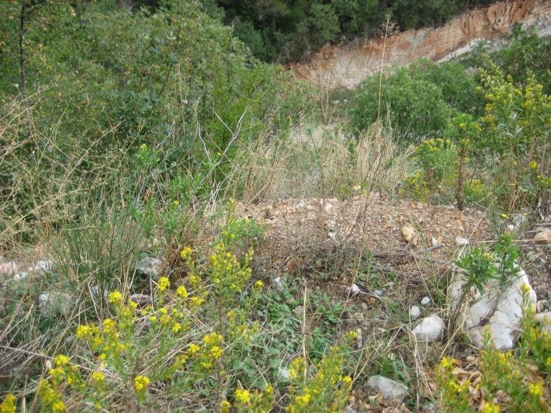 Земля в Будве, Черногория, 4 800 м² - фото 4