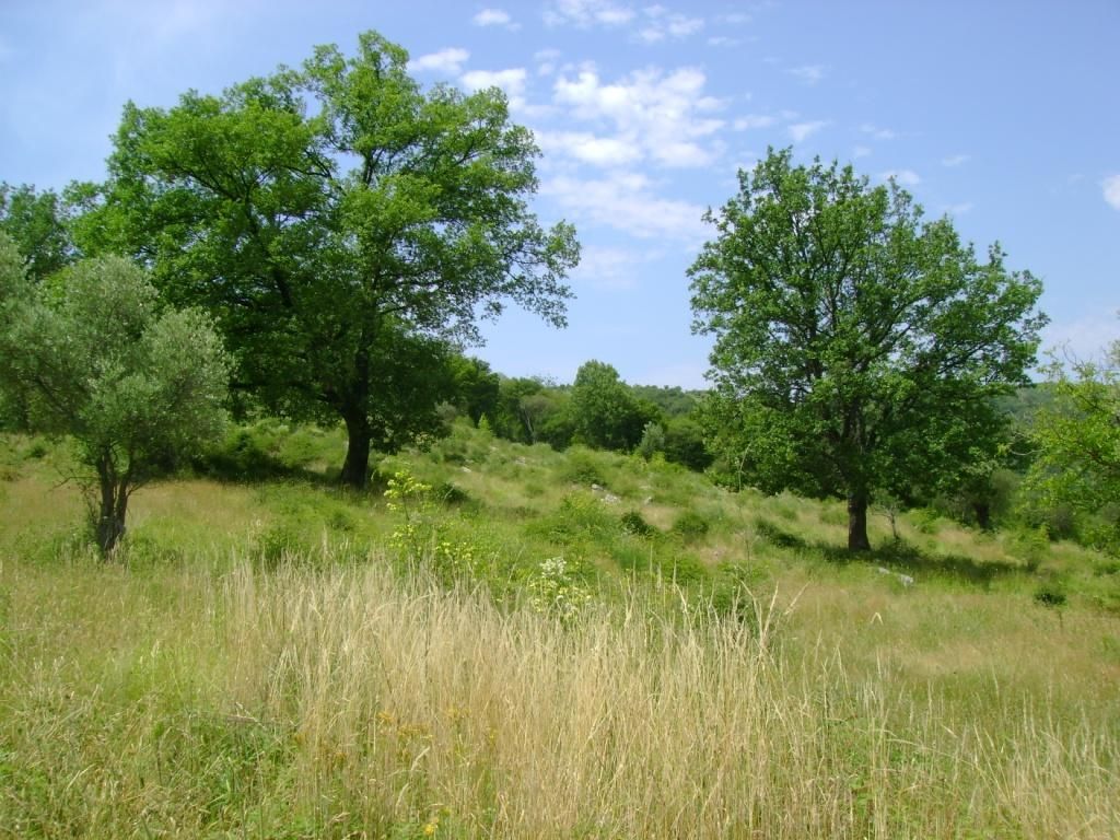 Земля в Зеленике, Черногория, 16 039 м² - фото 4
