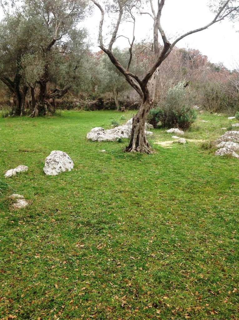 Земля в Утехе, Черногория, 2 400 м² - фото 4