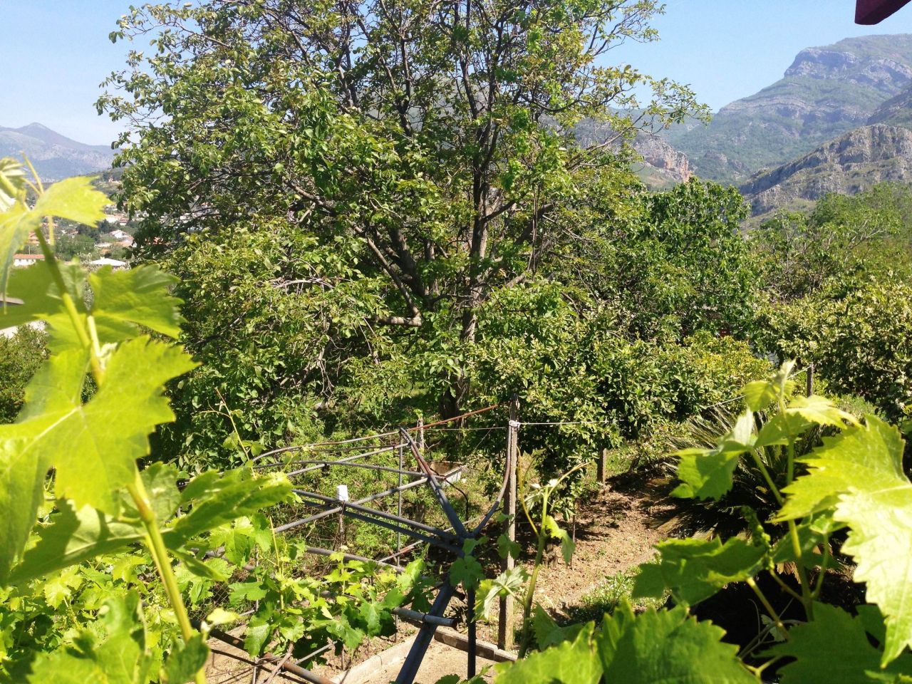 Земля в Баре, Черногория, 3 350 м² - фото 4