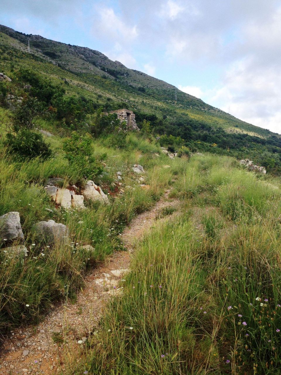 Земля в Режевичах, Черногория, 3 600 м² - фото 4