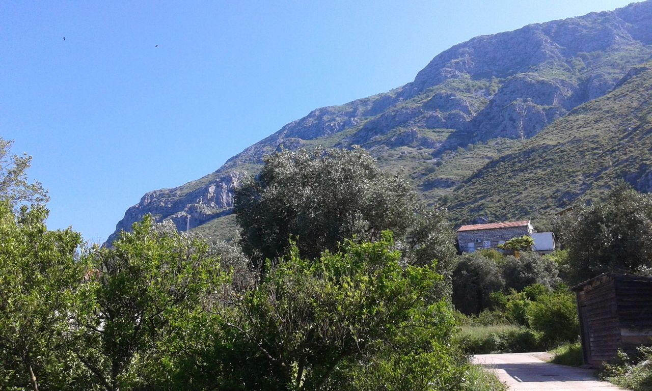 Вилла в Режевичах, Черногория, 235 м² - фото 4