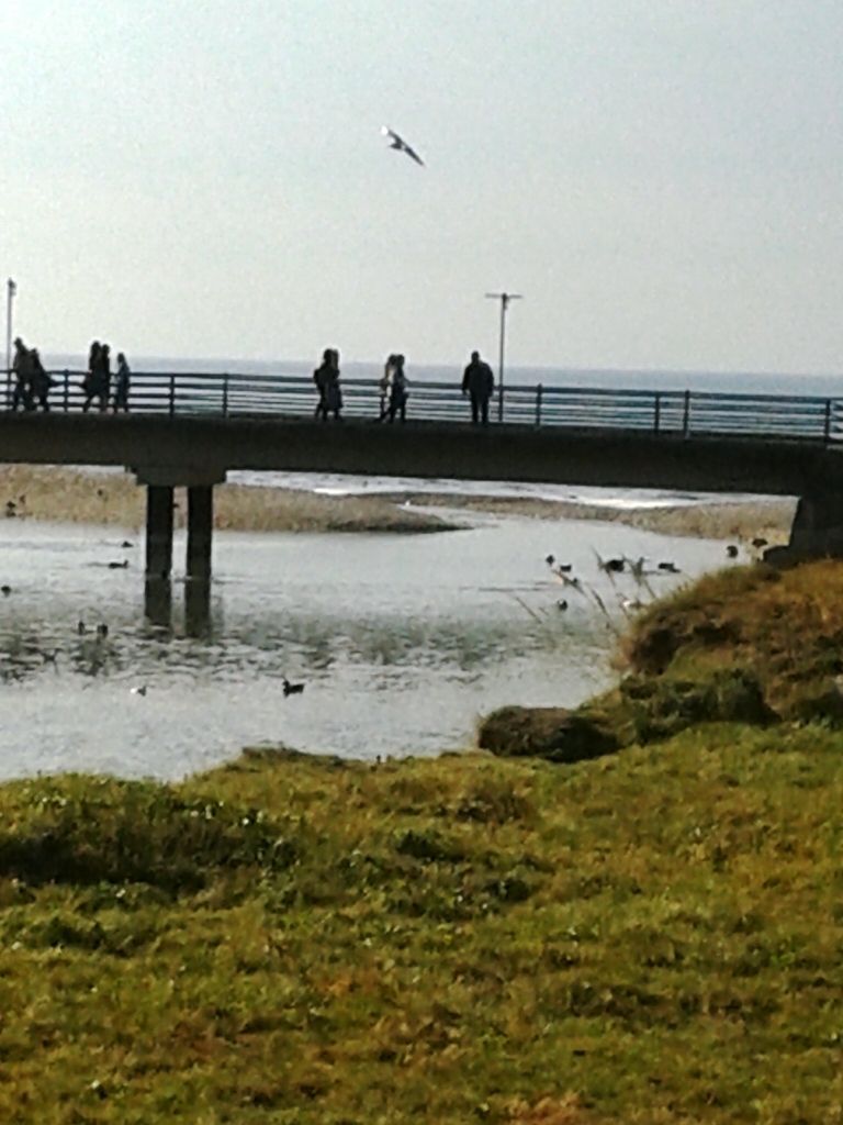 Коммерческая недвижимость в Баре, Черногория - фото 4