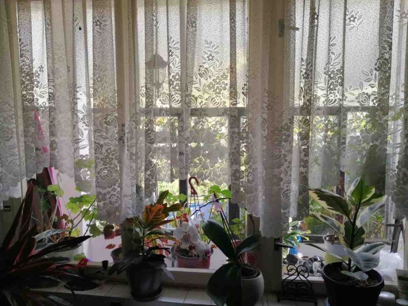 Дом в Морини, Черногория, 286 м² - фото 4