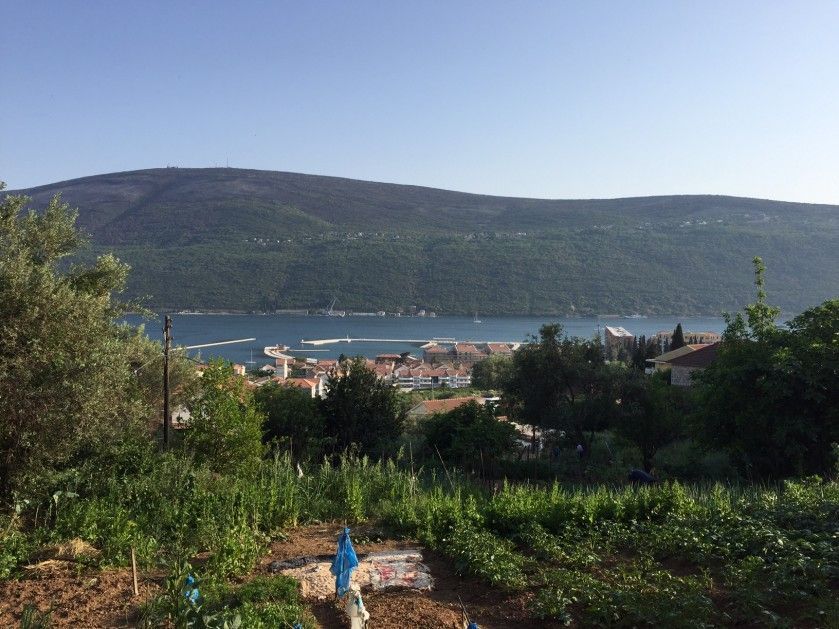 Земля в Дженовичах, Черногория, 650 м² - фото 4