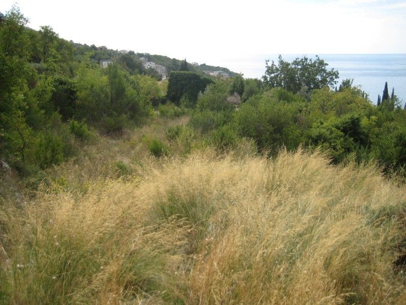 Земля в Будве, Черногория, 5 165 м² - фото 5