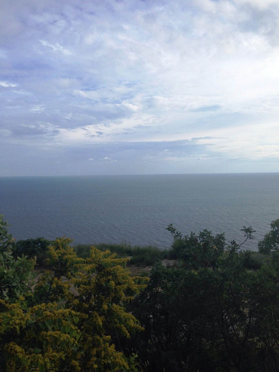 Земля в Режевичах, Черногория, 3 600 м² - фото 5