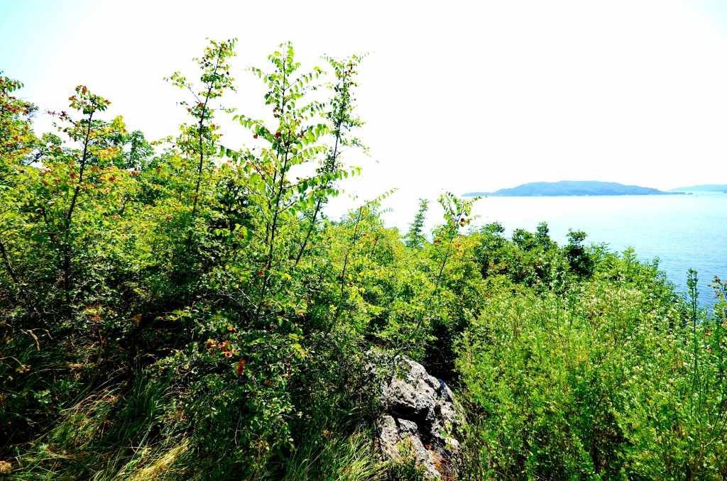 Земля Каменово, Черногория, 3 224 м² - фото 2