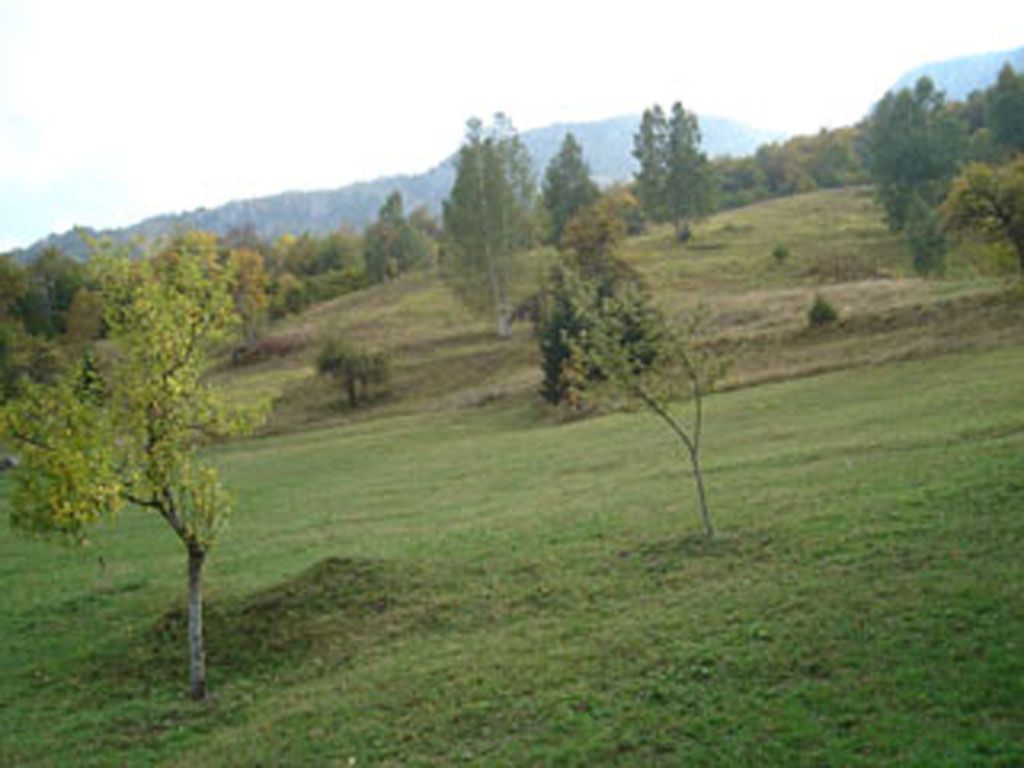 Коммерческая недвижимость в Колашине, Черногория, 60 м² - фото 7