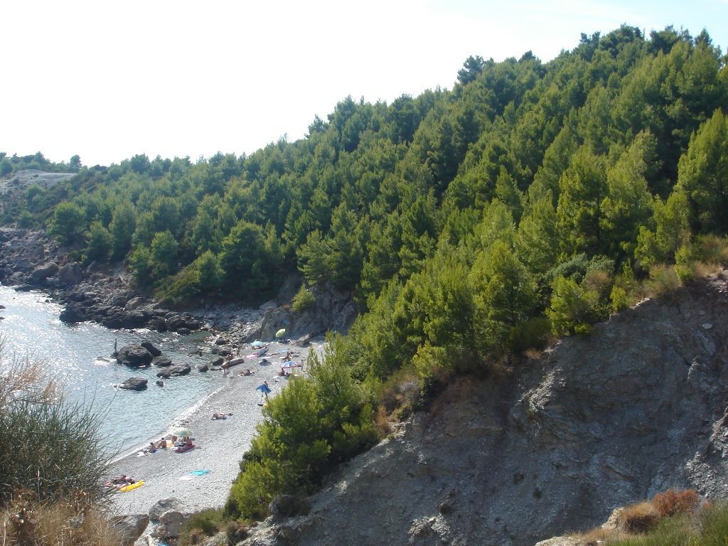 Коммерческая недвижимость в Сутоморе, Черногория - фото 8