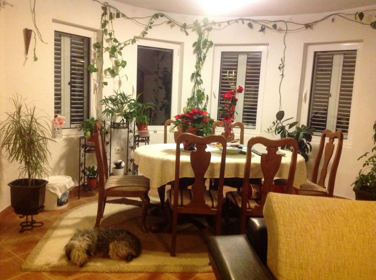 Дом в Добра Воде, Черногория, 330 м² - фото 10