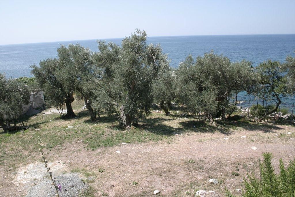 Коммерческая недвижимость в Баре, Черногория - фото 11