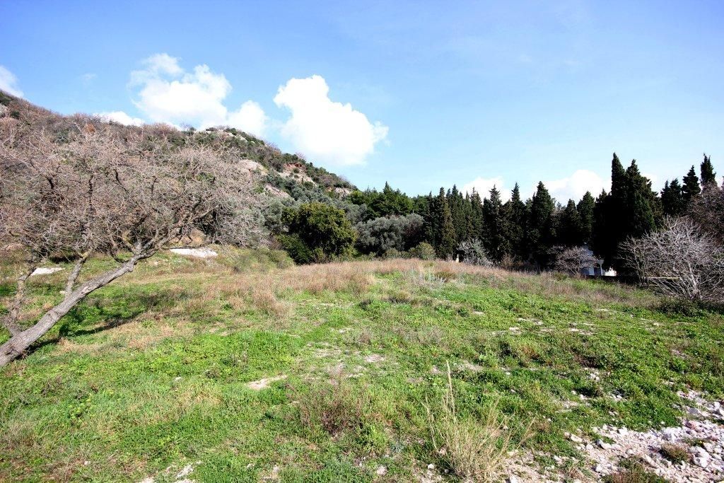 Коммерческая недвижимость в Баре, Черногория - фото 14