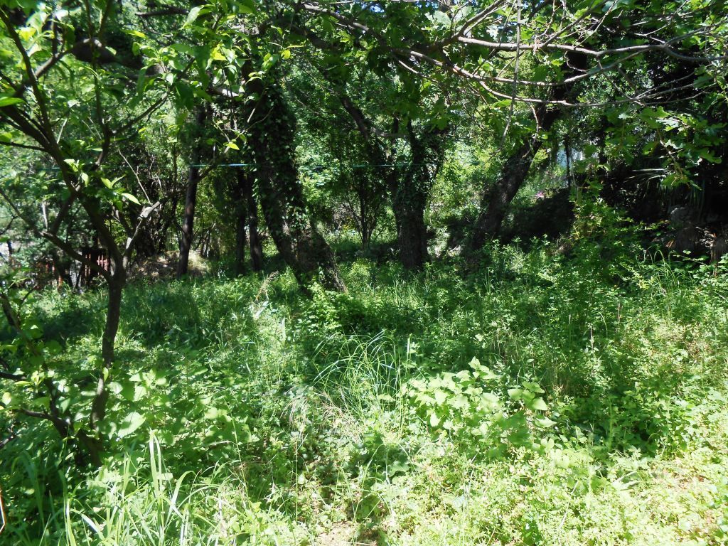 Дом в Сутоморе, Черногория, 242 м² - фото 17