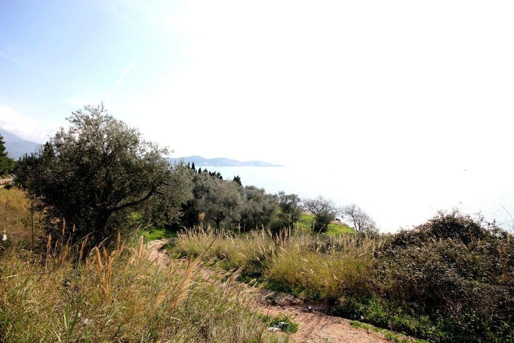 Коммерческая недвижимость в Баре, Черногория - фото 16