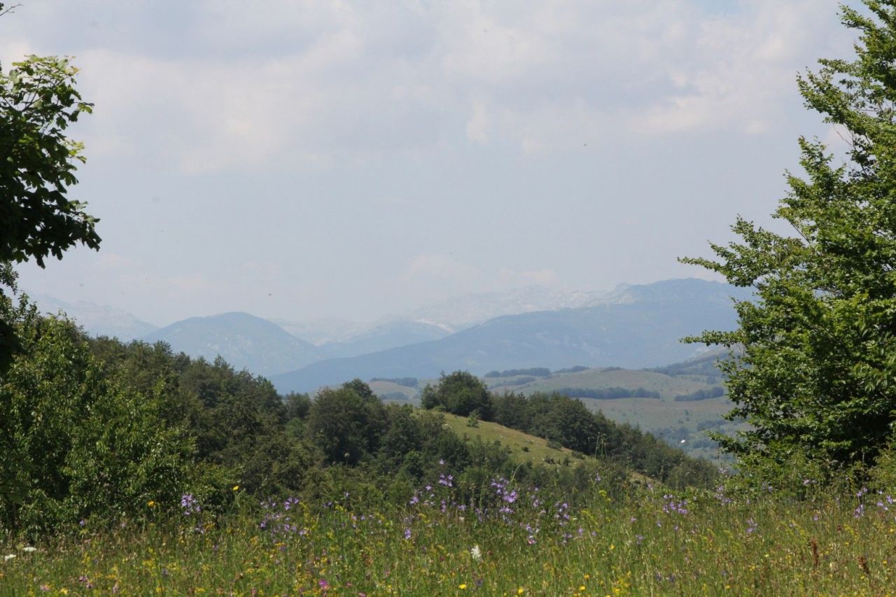 Земля в Жабляке, Черногория, 60 000 м2 - фото 1