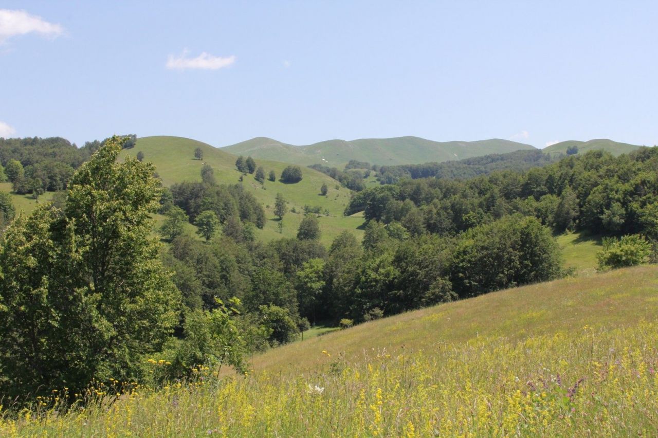 Земля в Жабляке, Черногория, 60 000 м² - фото 2
