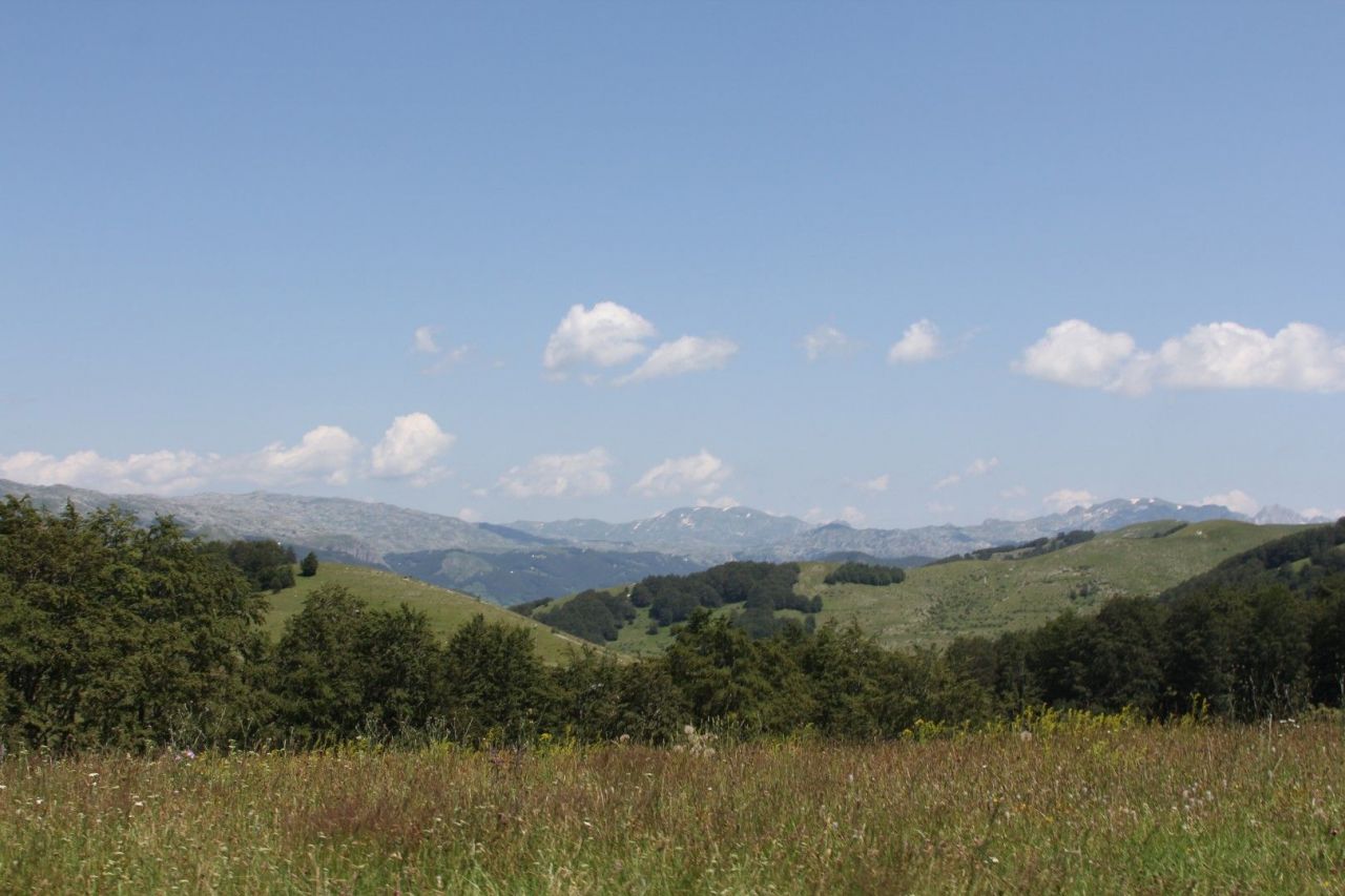 Земля в Жабляке, Черногория, 60 000 м² - фото 4