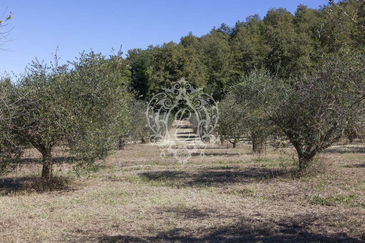 Отель, гостиница в Тоди, Италия, 1 626 м² - фото 7