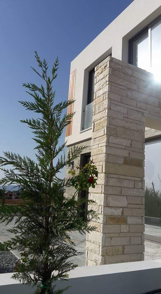 Вилла в Пафосе, Кипр, 160 м² - фото 13