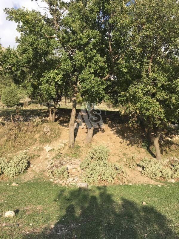 Земля в Баре, Черногория, 42 000 м² - фото 17