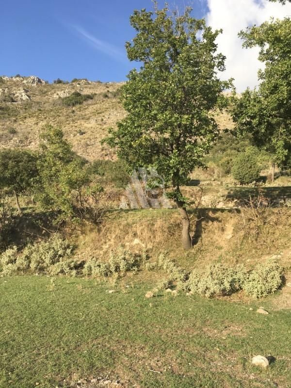 Земля в Баре, Черногория, 42 000 м² - фото 18