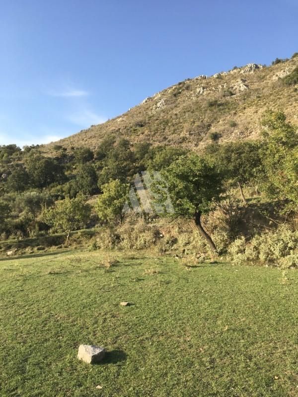 Земля в Баре, Черногория, 42 000 м² - фото 19