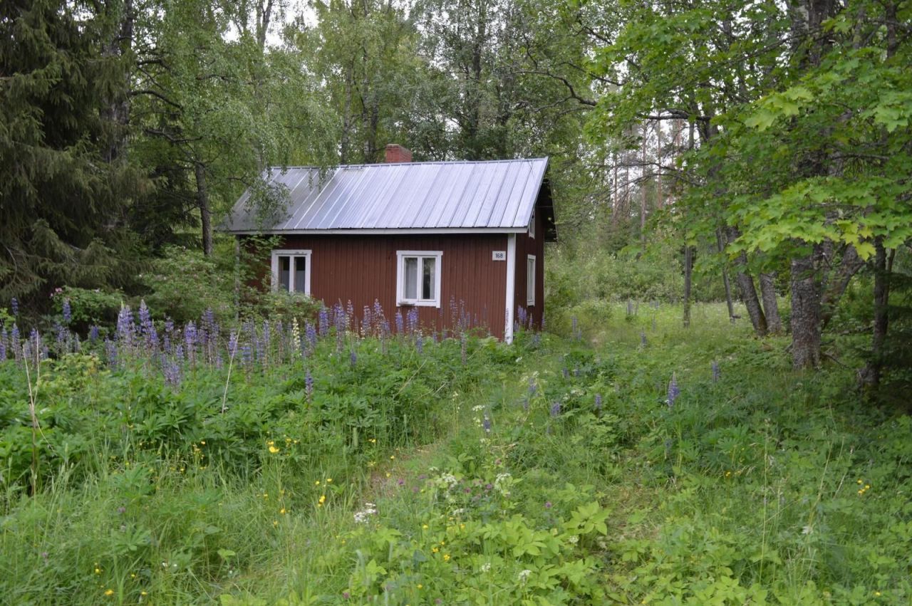 Дом в Кокколе, Финляндия, 25 м2 - фото 1