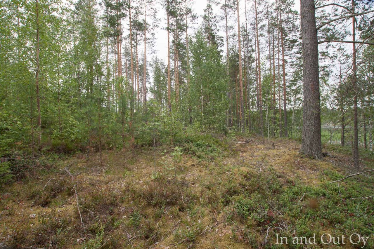 Земля в Пуумала, Финляндия, 5 700 м² - фото 3