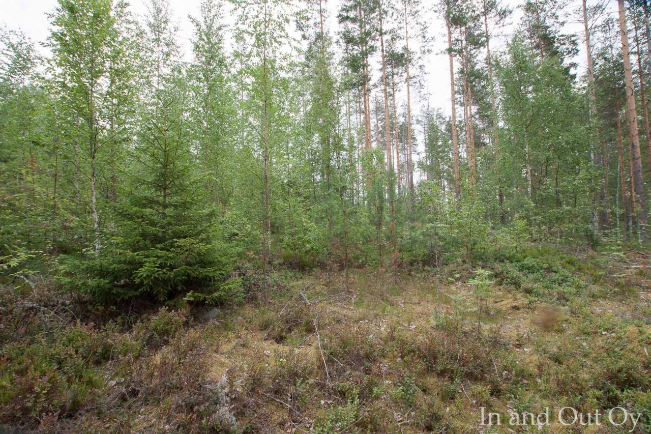 Земля в Пуумала, Финляндия, 5 700 м² - фото 4