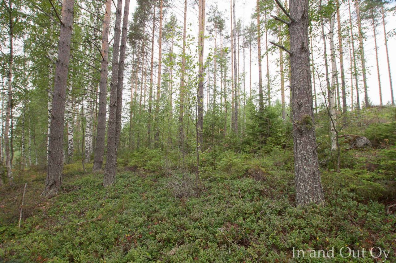 Земля в Пуумала, Финляндия, 5 700 м² - фото 6