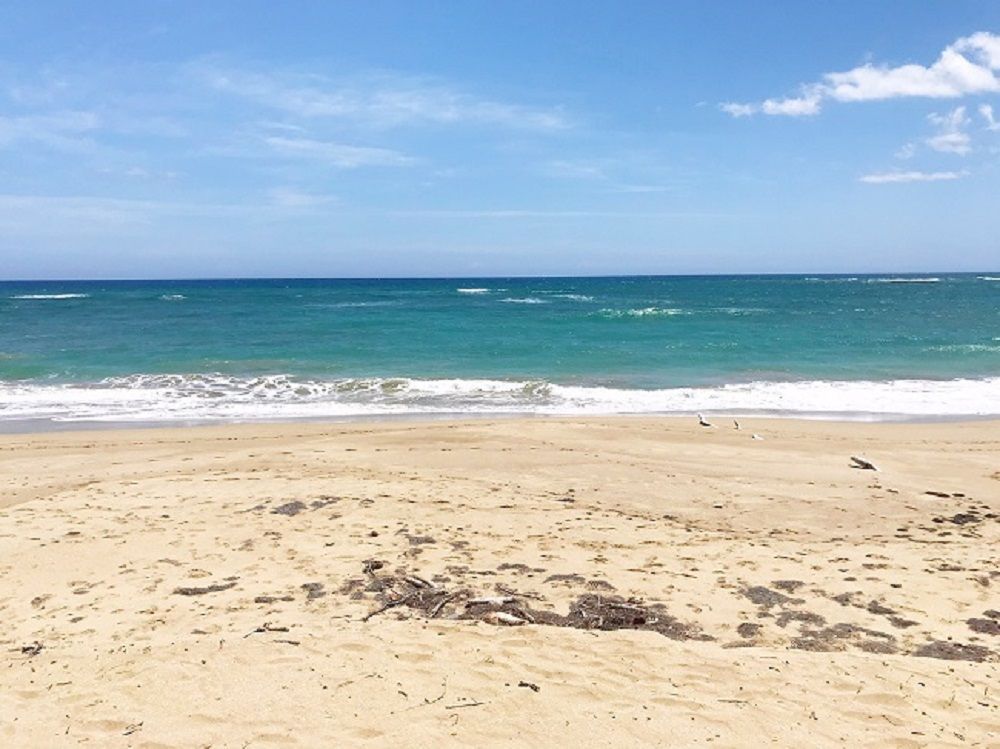 Лофт в Кабарете, Доминиканская Республика, 53 м² - фото 8