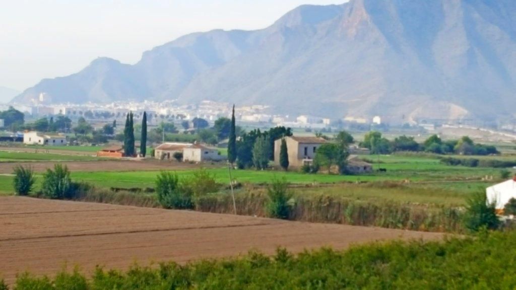 Ферма в Кальоса-де-Сегуре, Испания, 27 921 м2 - фото 1