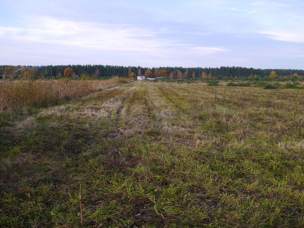 Земля в Рижском крае, Латвия, 3 Га - фото 1