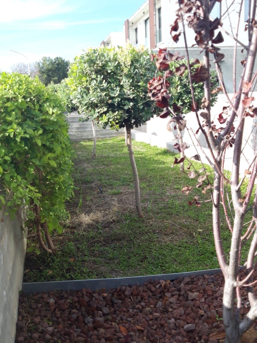 Вилла в Пафосе, Кипр, 210 м² - фото 7