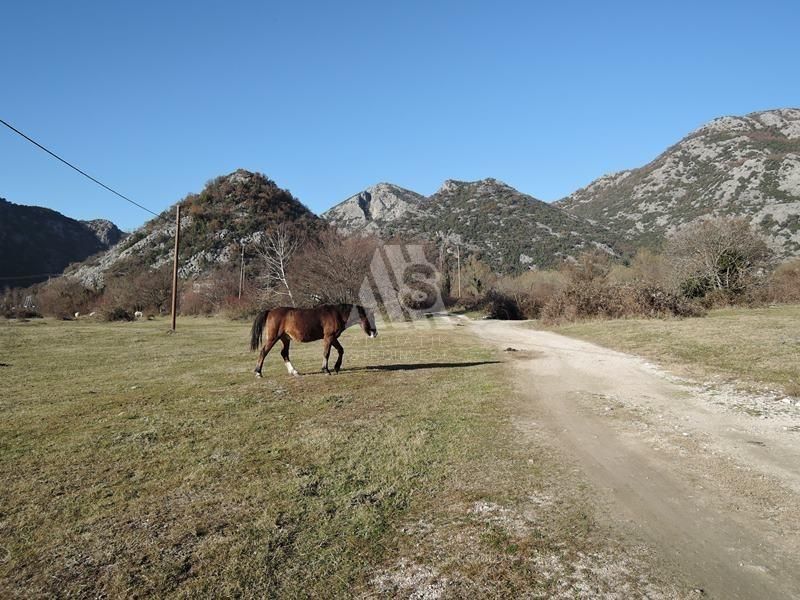 Земля Дупило, Черногория, 9 190 м² - фото 7